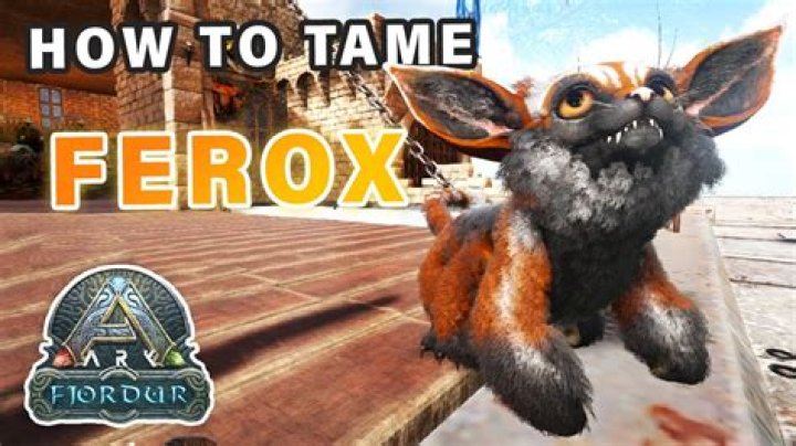 Ferox