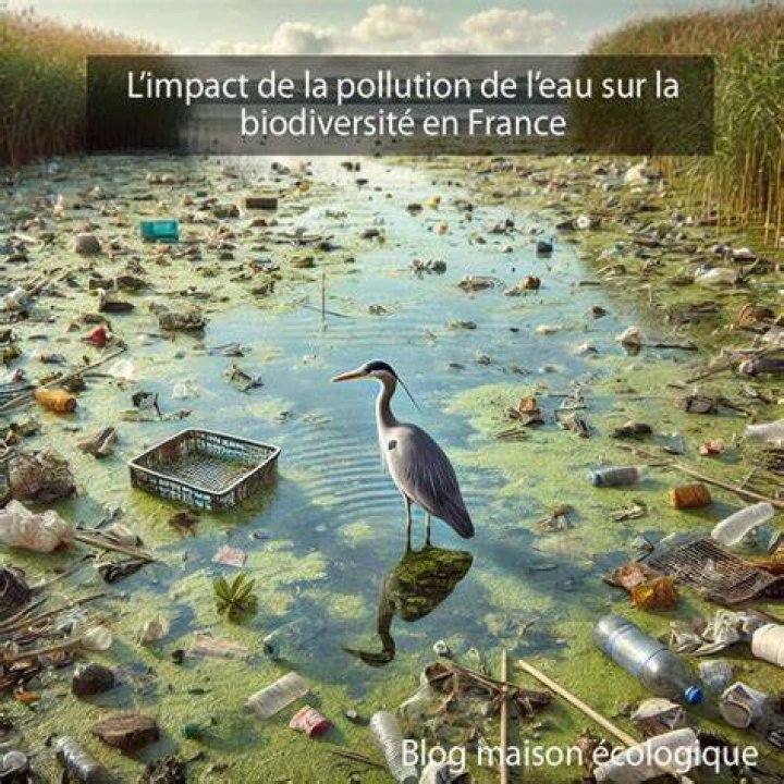 Impact sur la carri&egrave;re de Jordana