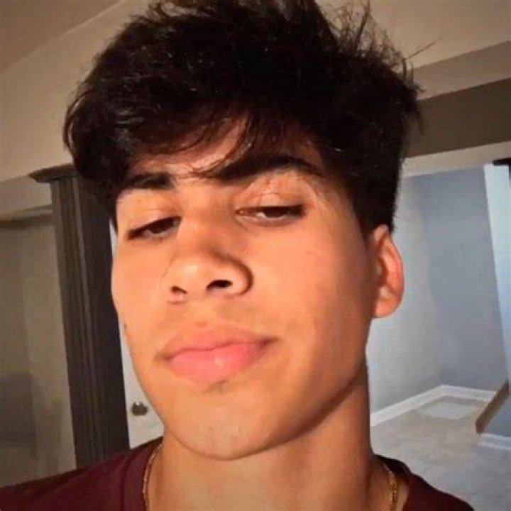 Mattia Polibio Height, Weight, Age, Net Worth, Facts